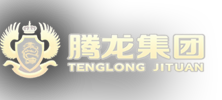 腾龙公司